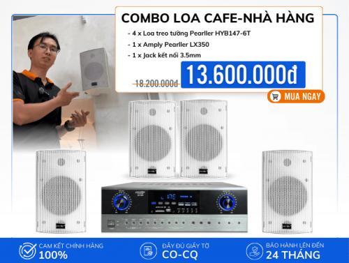 Loa treo tường nghe nhạc hay cho quán cafe, nhà hàng