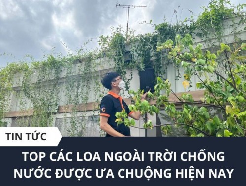 Tổng Hợp Những Mẫu Loa Ngoài Trời Nghe Nhạc Hay