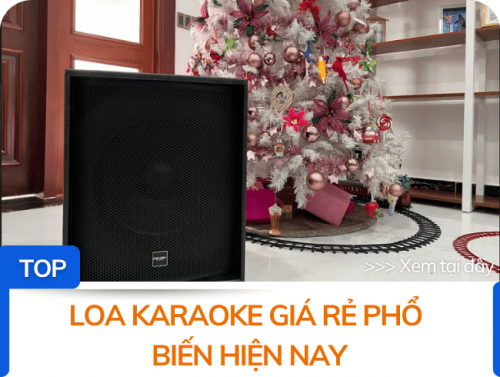 TOP Loa karaoke giá rẻ phổ biến hiện nay
