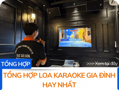 Tổng hợp loa karaoke gia đình hay nhất