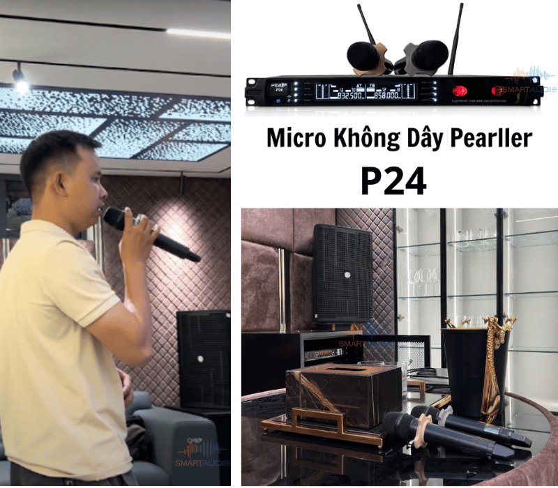 Bộ Micro không dây Pearller P24