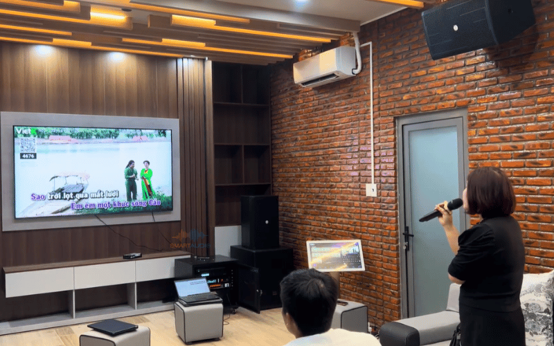 Bộ Micro không dây Pearller P24