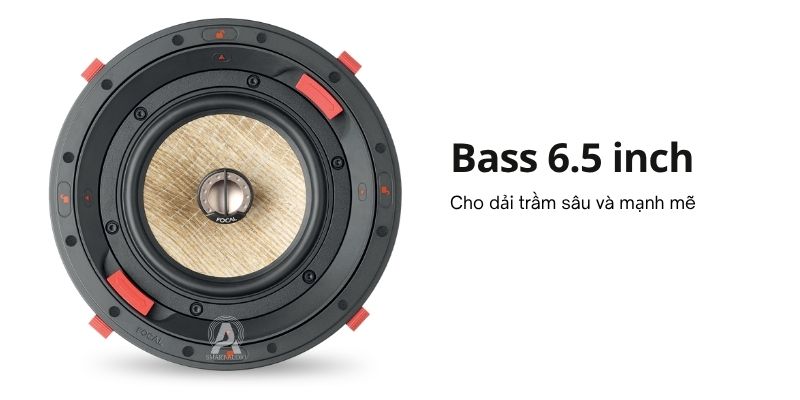 loa focal 300 icw6