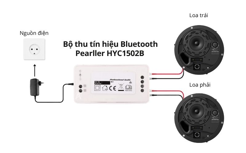bo loa am tran bluetooth bose dm3c (2)