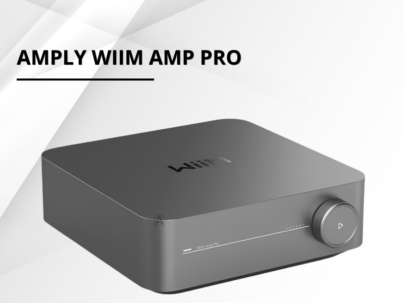 amply wiim amp pro