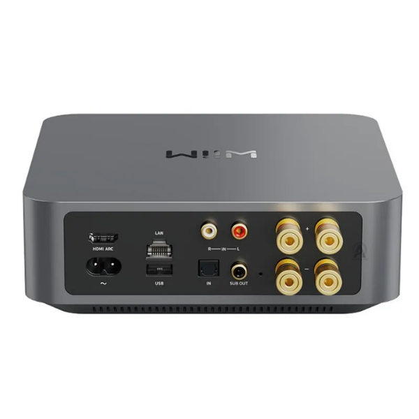 ampli-wiim-amp-pro