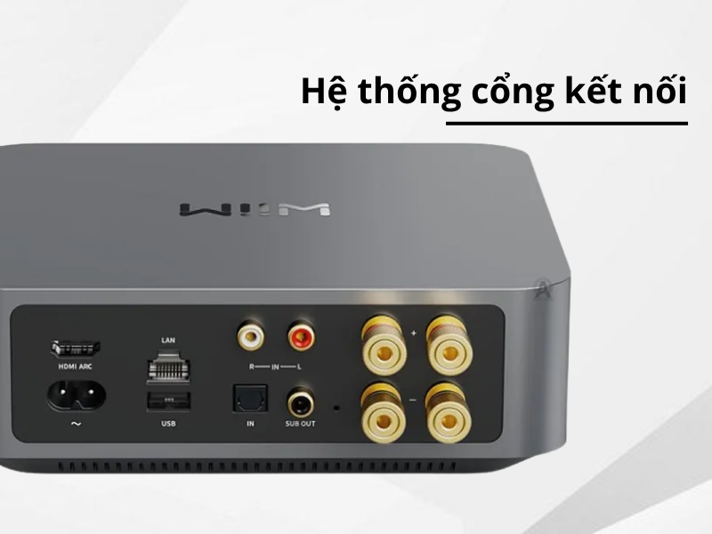 wiim amp pro xin