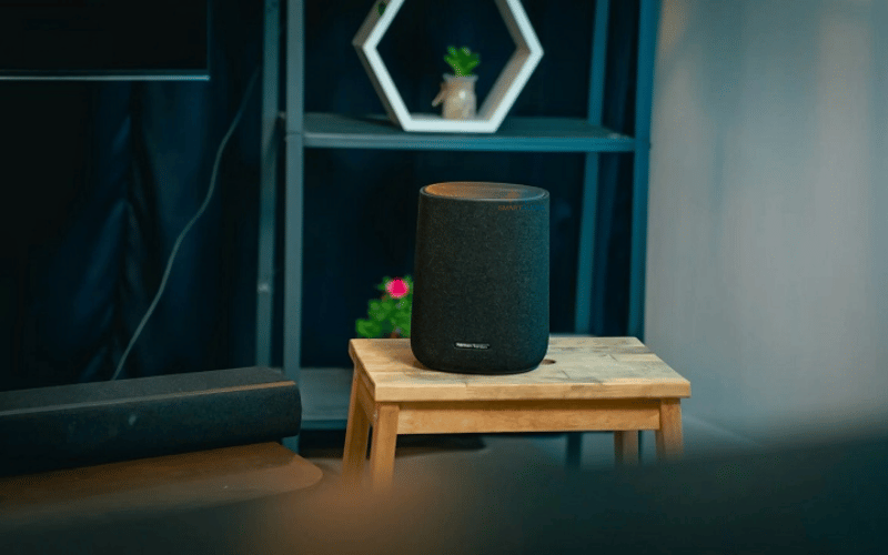 1 Loa Harman Kardon Enchant Speaker