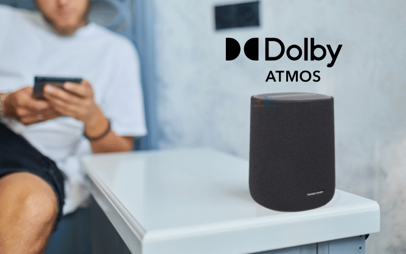 1 Loa Harman Kardon Enchant Speaker