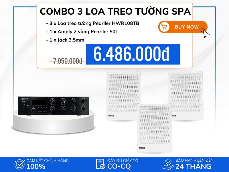 combo loa cho spa (3)