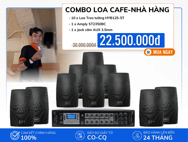 Bộ loa treo tường HYB125-5T nghe nhạc hay cho cafe, nhà hàng