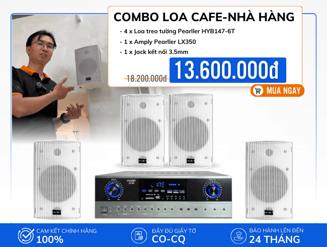 loa-treo-tuong-nghe-nhac-hay-cho-quan-cafe-nha-hang