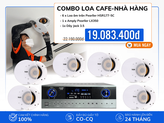 lap-dat-loa-cho-quan-cafe-nha-hang