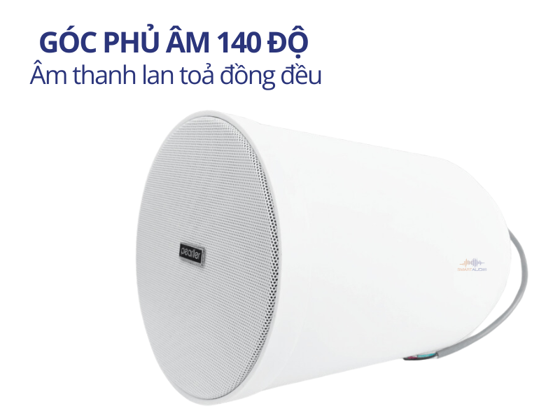 dich vu lap dat loa treo tran 20w