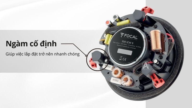 loa nghe nhac focal 100 icw5