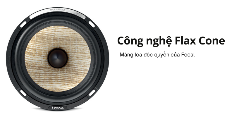 loa focal 300 icw4 (4)