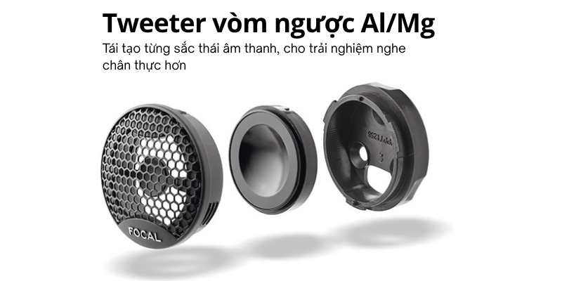 loa focal 300 icw4 (5)