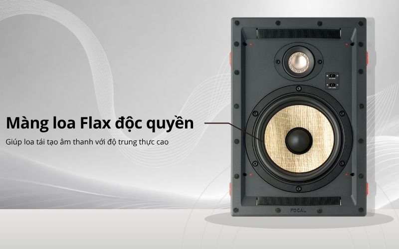 loa xem phim focal 300 iw6