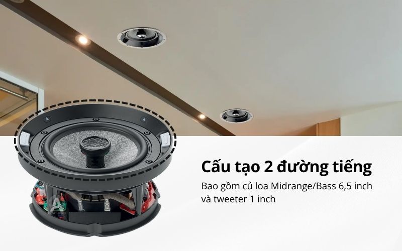 loa focal 1000 icw6 chinh hang
