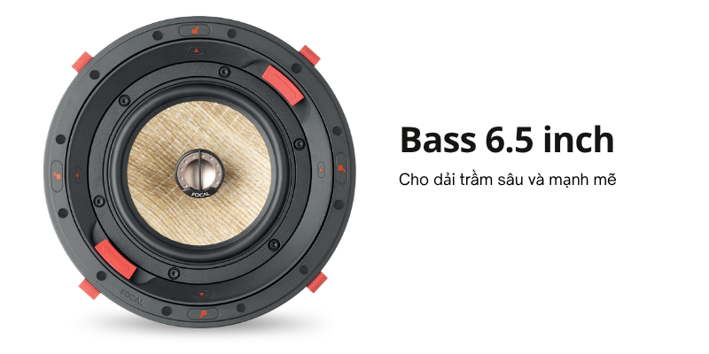 loa nghe nhac focal 300 icw6