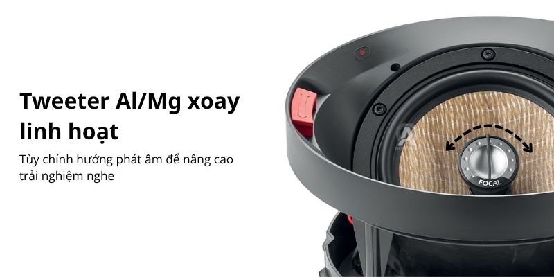 loa am tran focal 300 ica6 (3)
