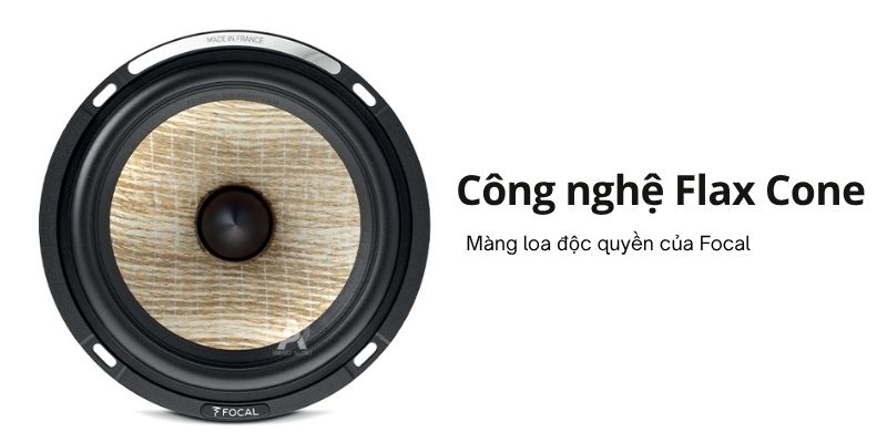 loa am tran focal 300 ica6 (4)