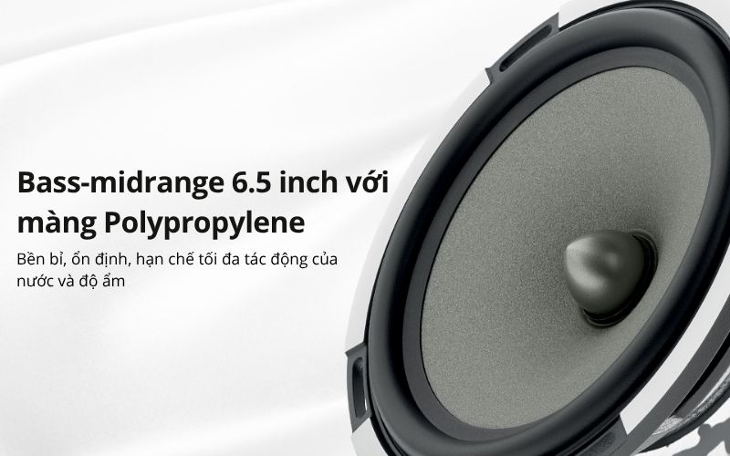 loa focal 100 od6 t (2)