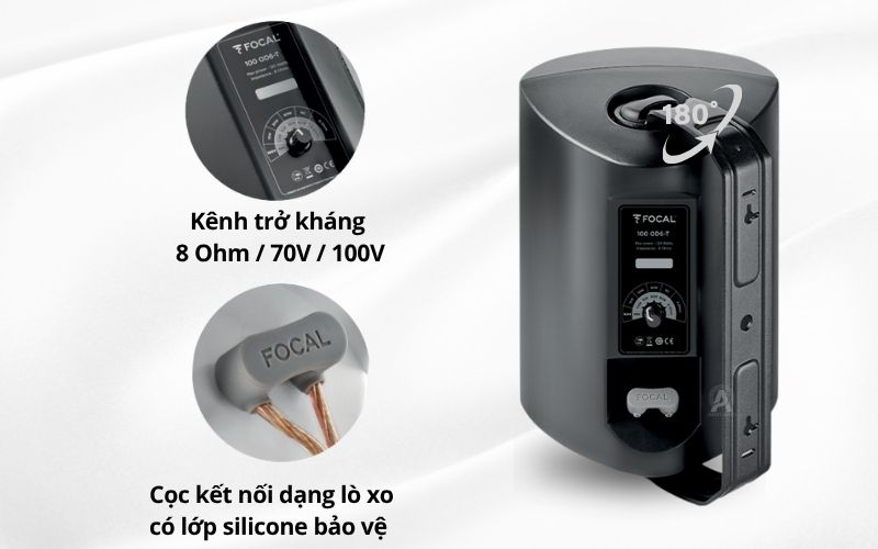 loa ngoai troi focal 100 od6 t
