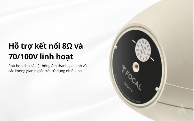 loa ngoai troi focal od sat 5 (2)
