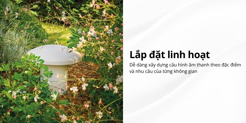 loa focal od sub 12 (2)