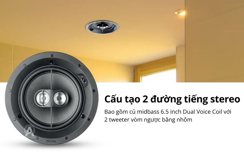 focal 100 ic6st (3)