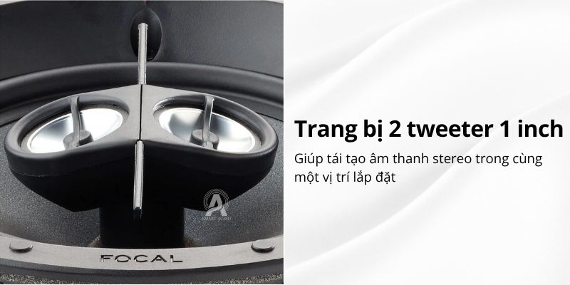 focal 100 ic6st cao cap