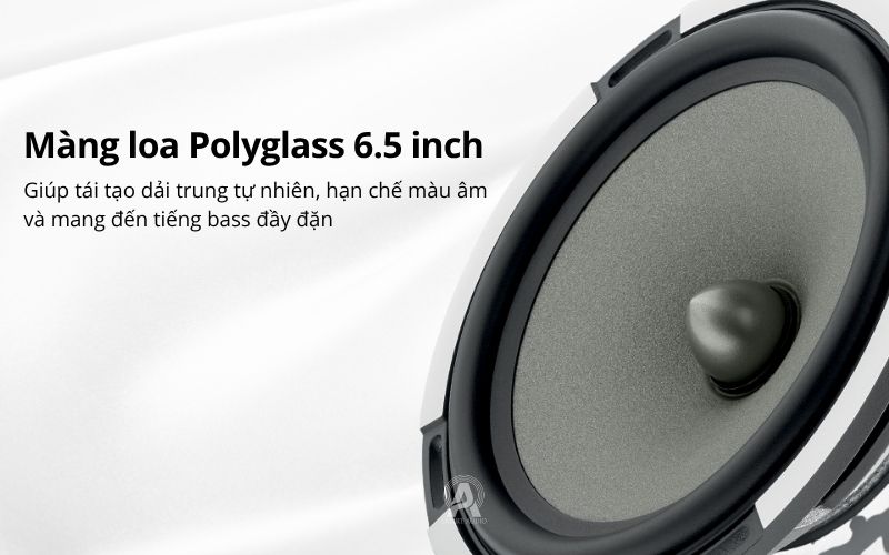 loa focal 100 ic6st chinh hang