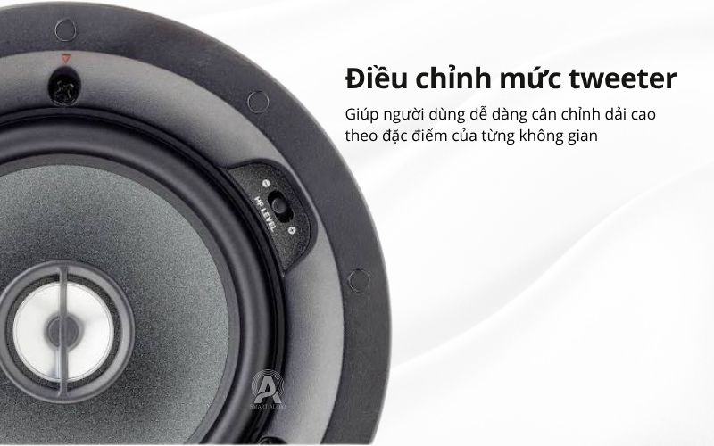 focal 100 icw8 chinh hang
