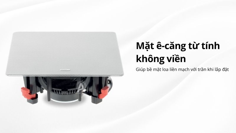 loa am tran focal 100 icw8
