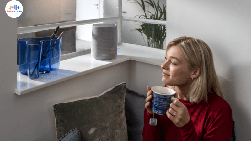 loa harma kardon citation one mkii 9