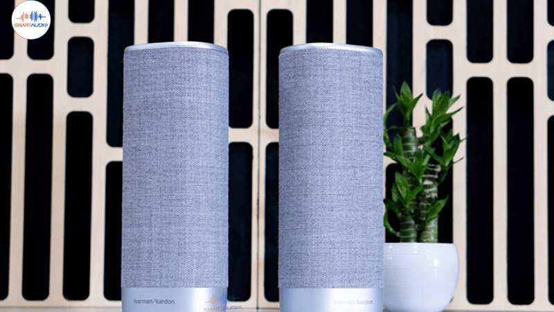 loa di dong 360 harma kardon citation surround 9