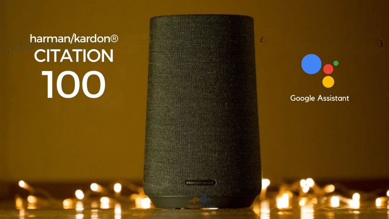 loa google assistant citation 100