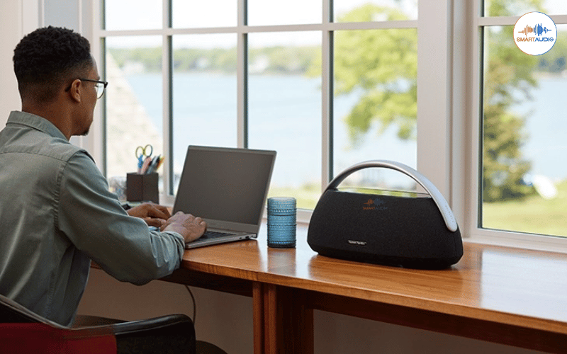 loa di dong harman kardon go play 3