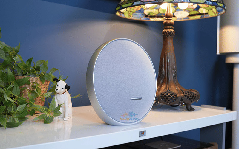 loa di dong harman kardon onyx studio 9 2