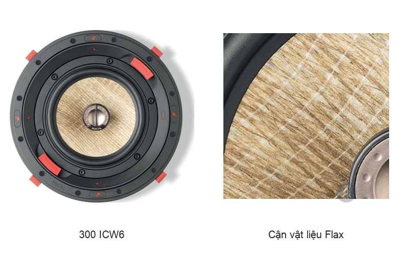 Màng loa Flax trên Focal 300 ICW6