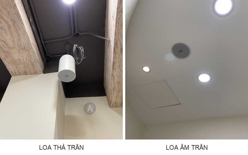 So sánh loa thả trần và loa âm trần qua ảnh công trình thực tế