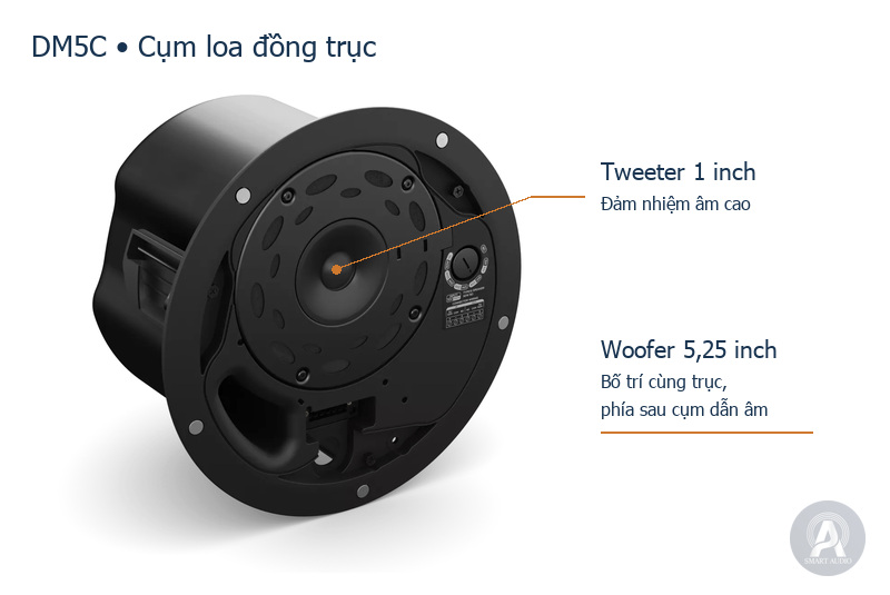 Tweeter ở trung tâm cụm loa đồng trục Bose DM5C