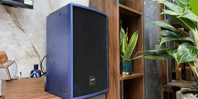 loa phong khach Pearller CP10