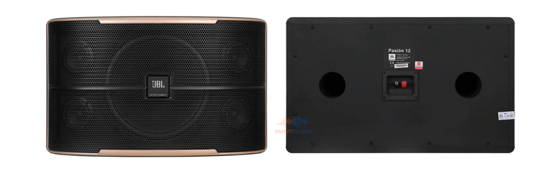 loa karaoke gia re (4)