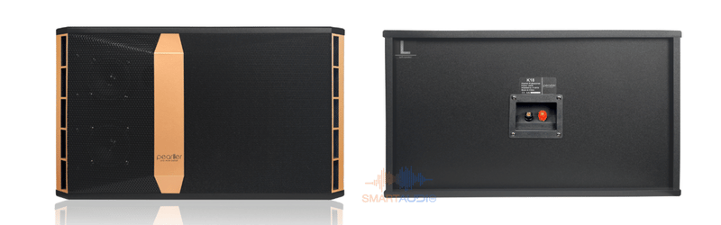 loa karaoke gia re (6)