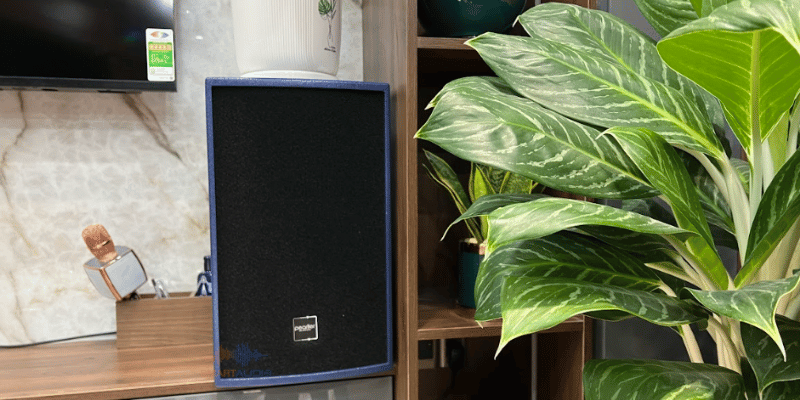 dan loa karaoke gia dinh (2)